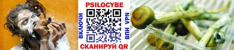 Галлюциногенные грибы Psilocybine cubensis  где продают   Кисловодск 